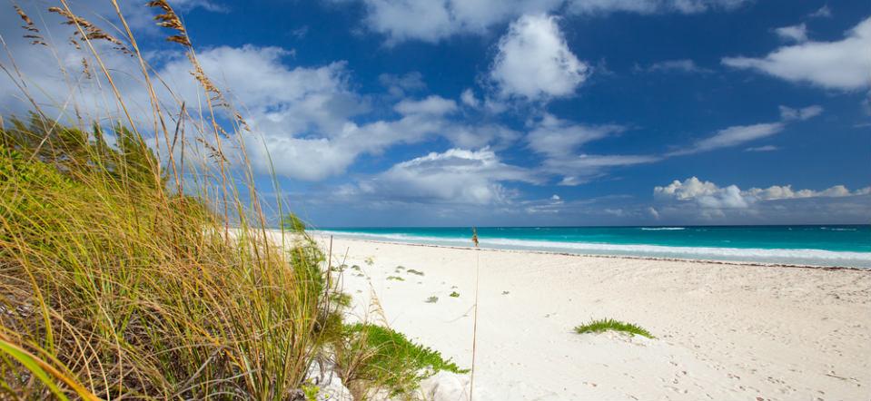 Harbour Island In The Bahamas image