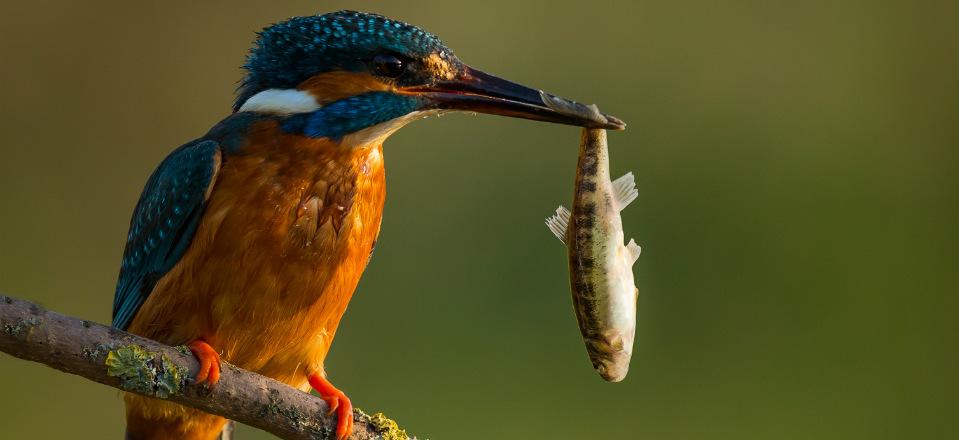 s'Albufera Park Spain image