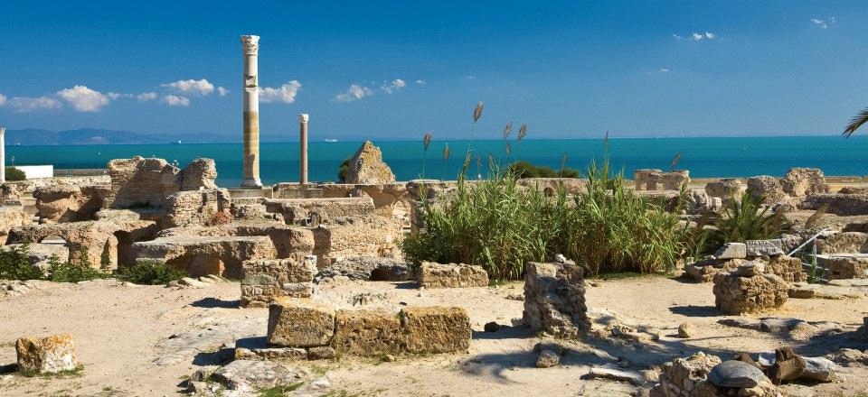 Carthage Ruins In Tunisia image