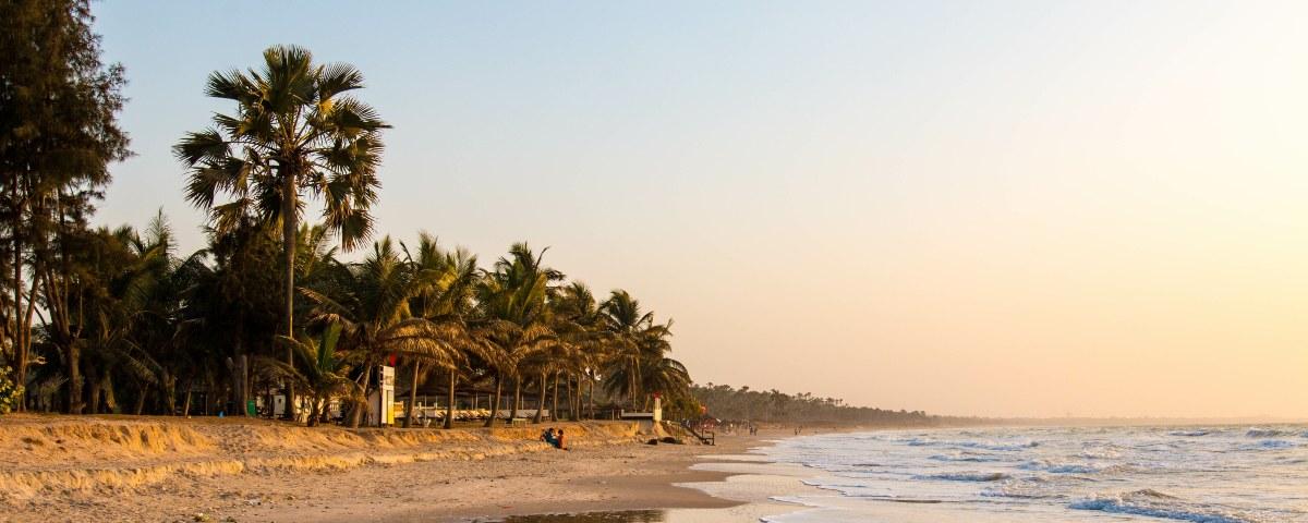 A palm tree-lined beach in Gambia at sunset