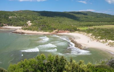 Playas De Algaiarens Spain image